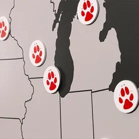 Wall map with magnetic paw location markers
