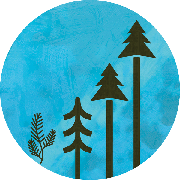 Graphic of a seedling growing into a larger and larger tree